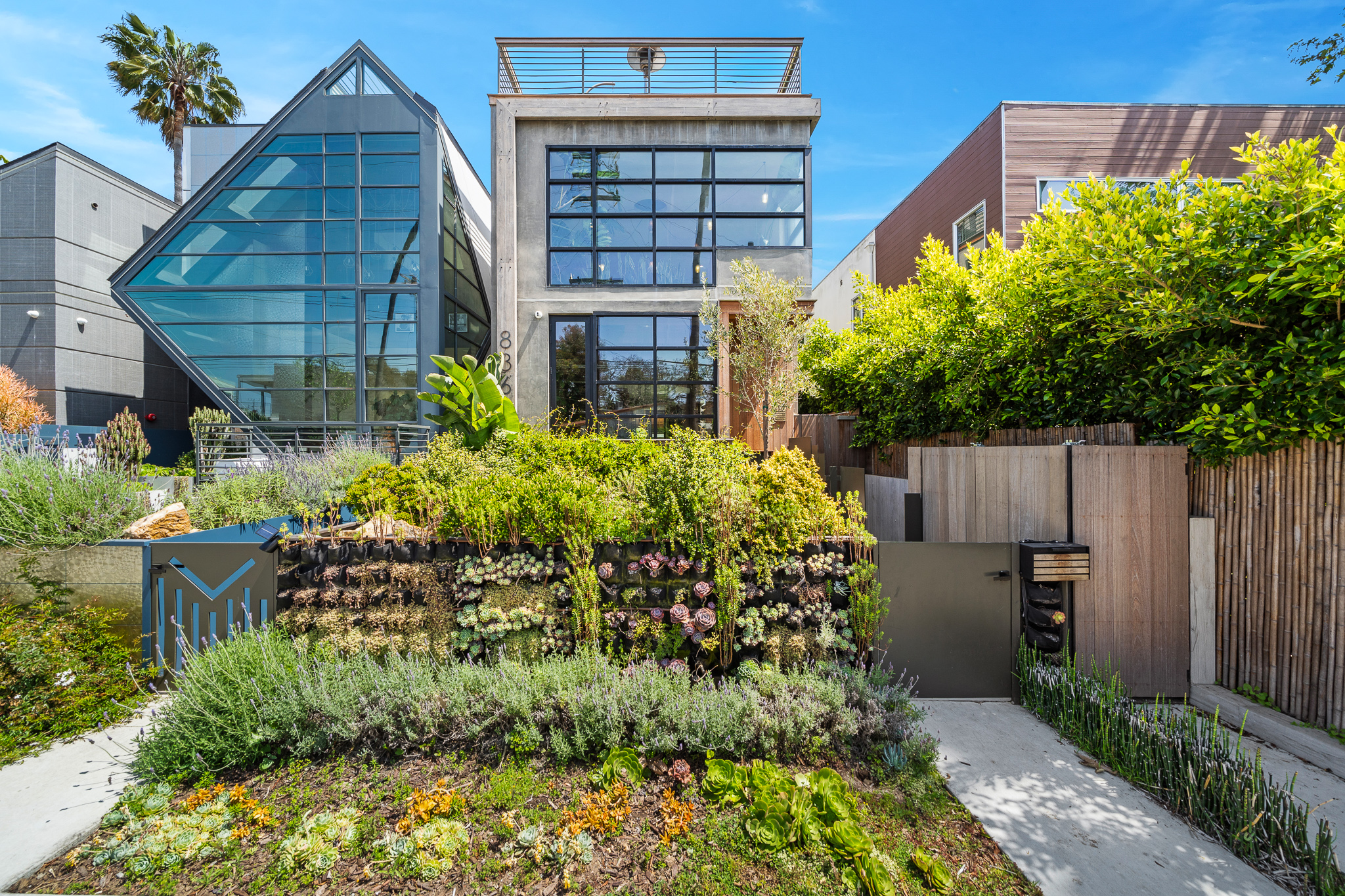 Lady Maya | Photo 33