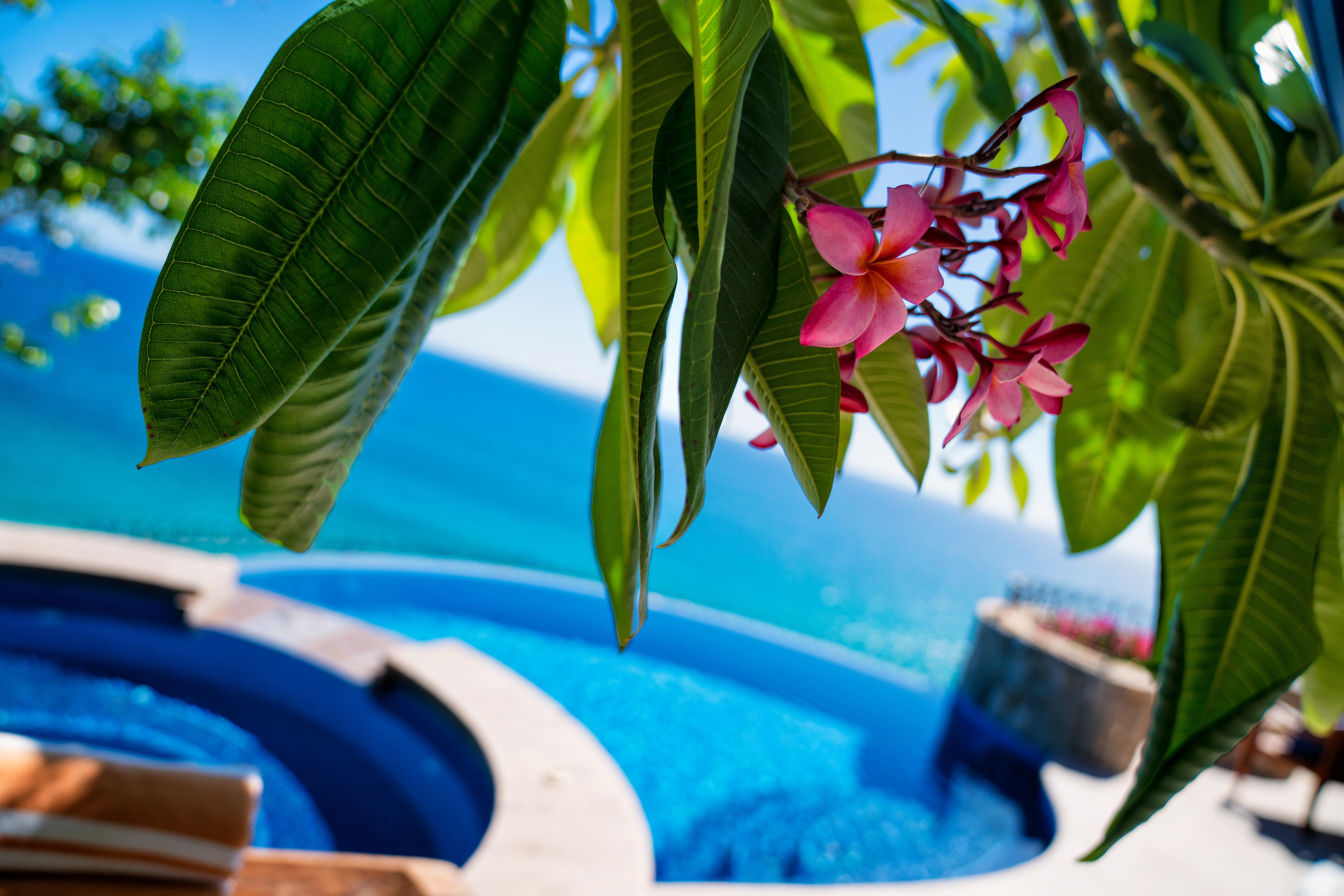 Villa Mar Serenata | Photo 34