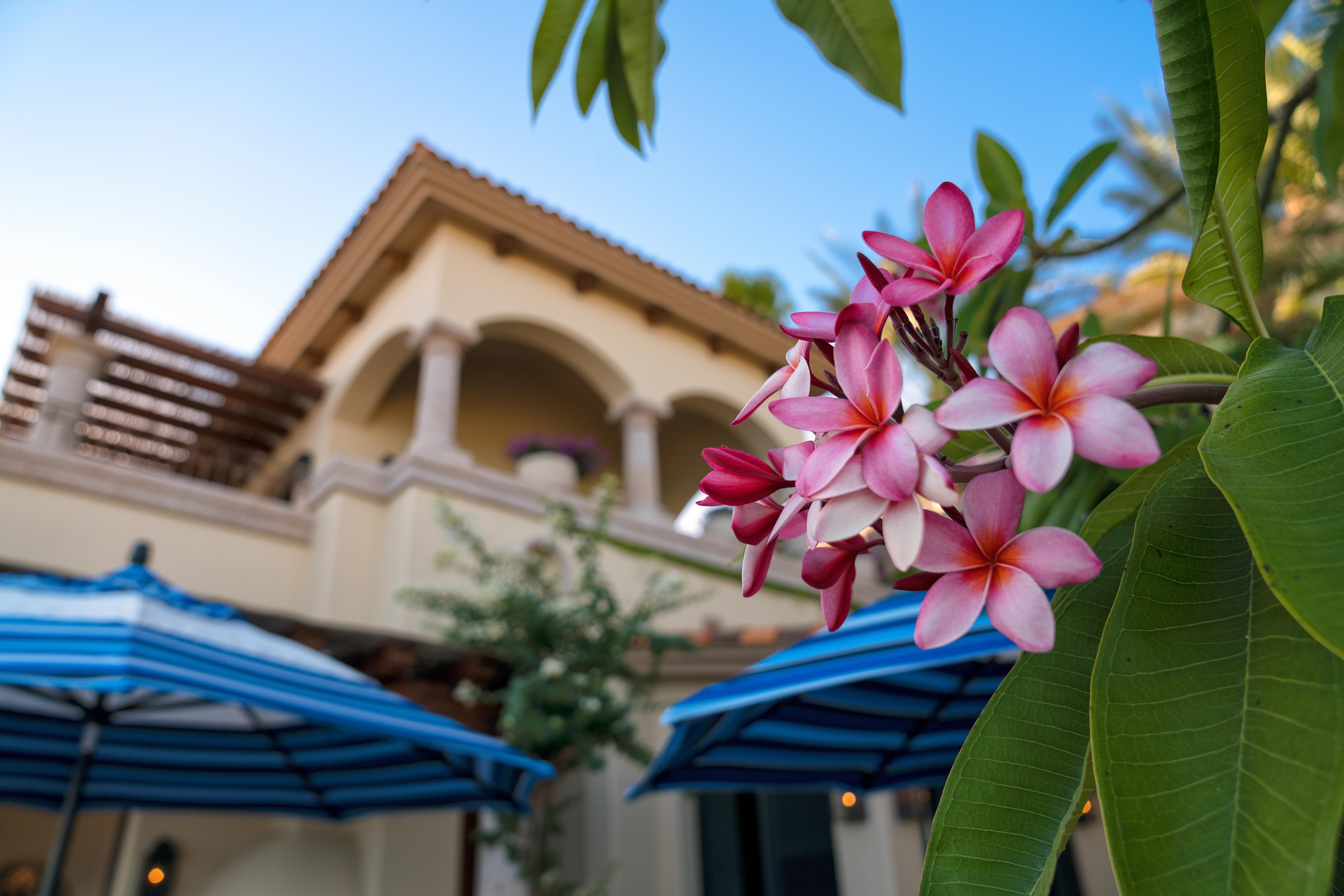 Villa Mar Serenata | Photo 36