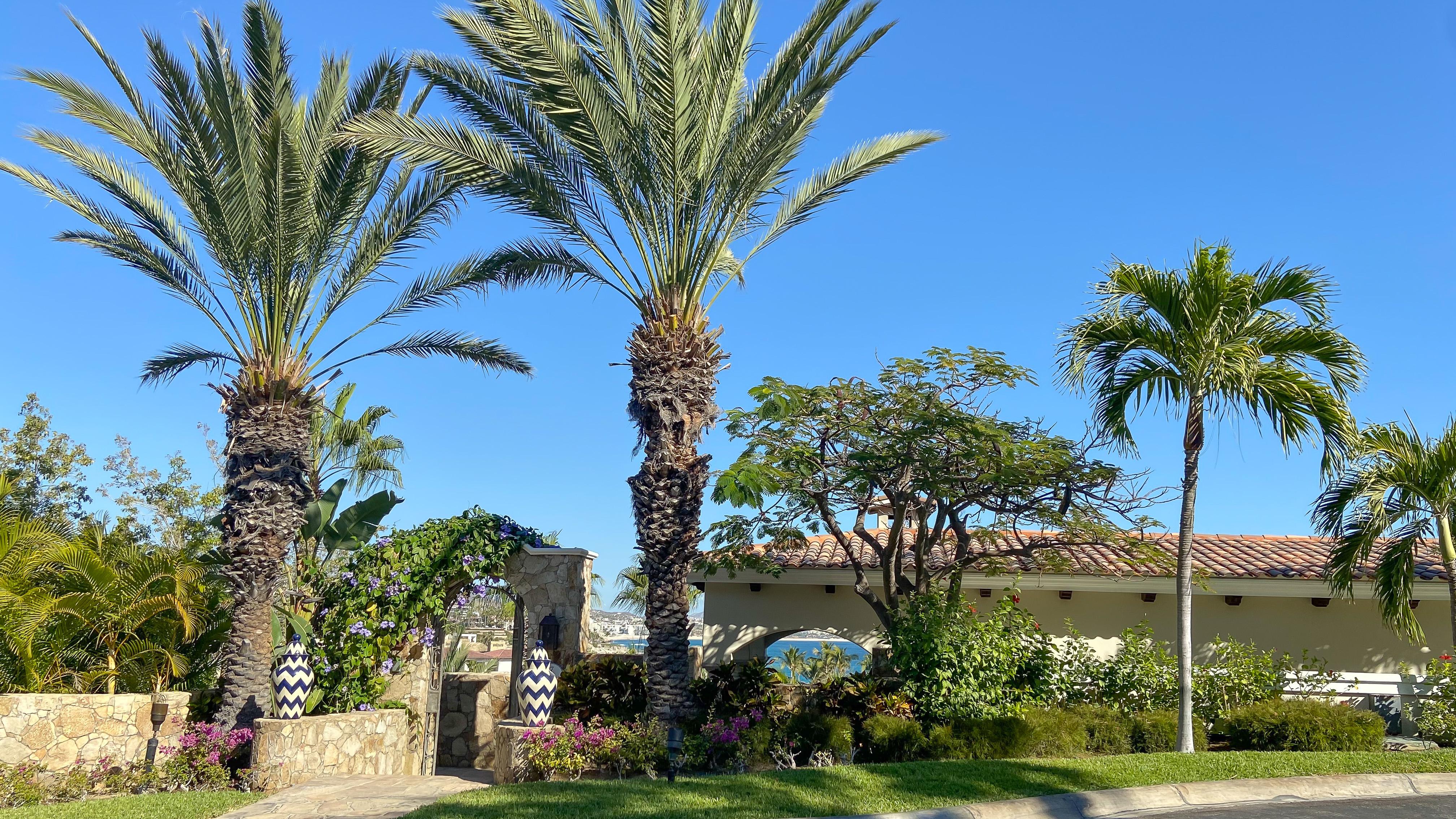 Villa Zafira | Photo 59