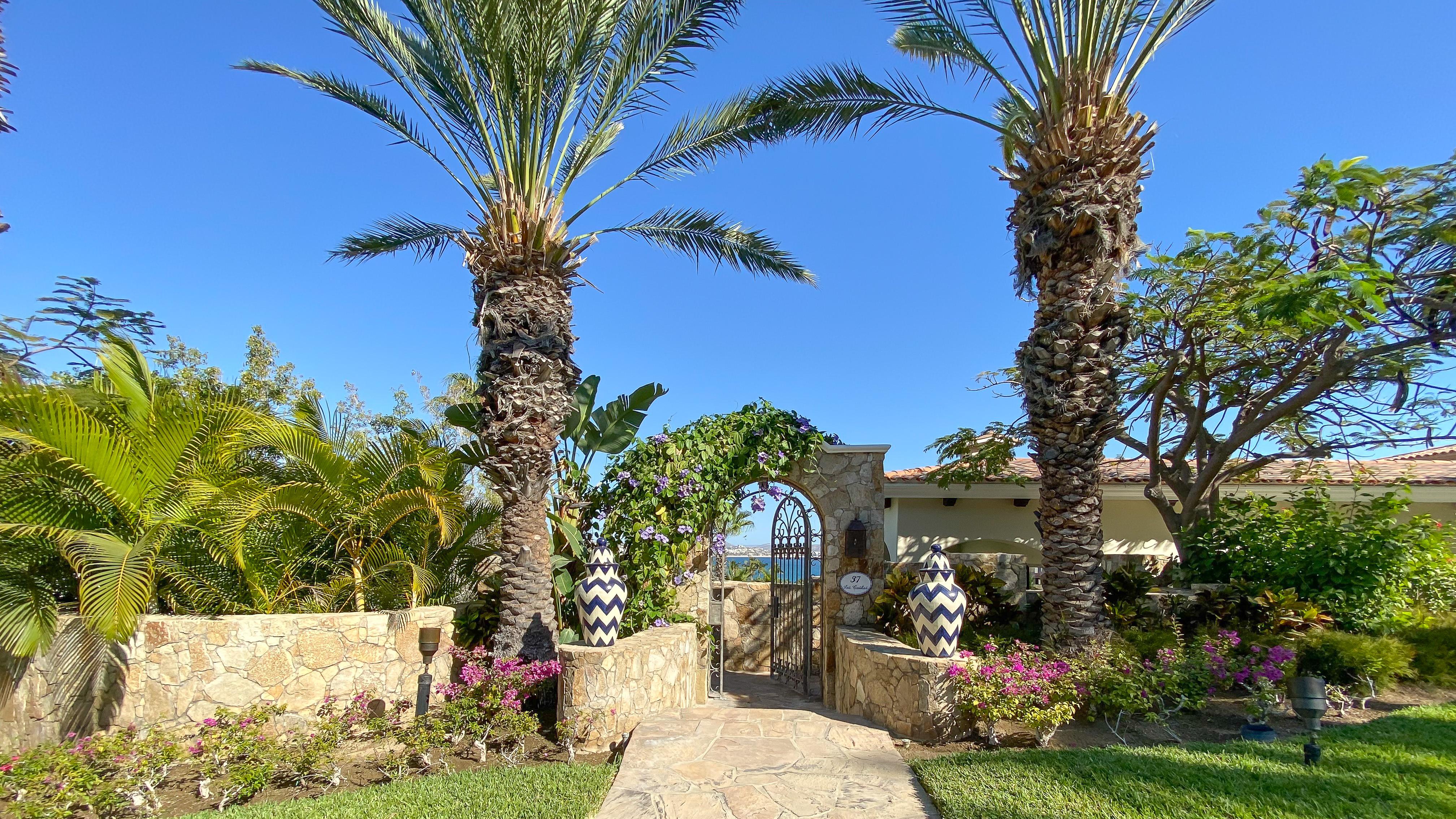 Villa Zafira | Photo 61