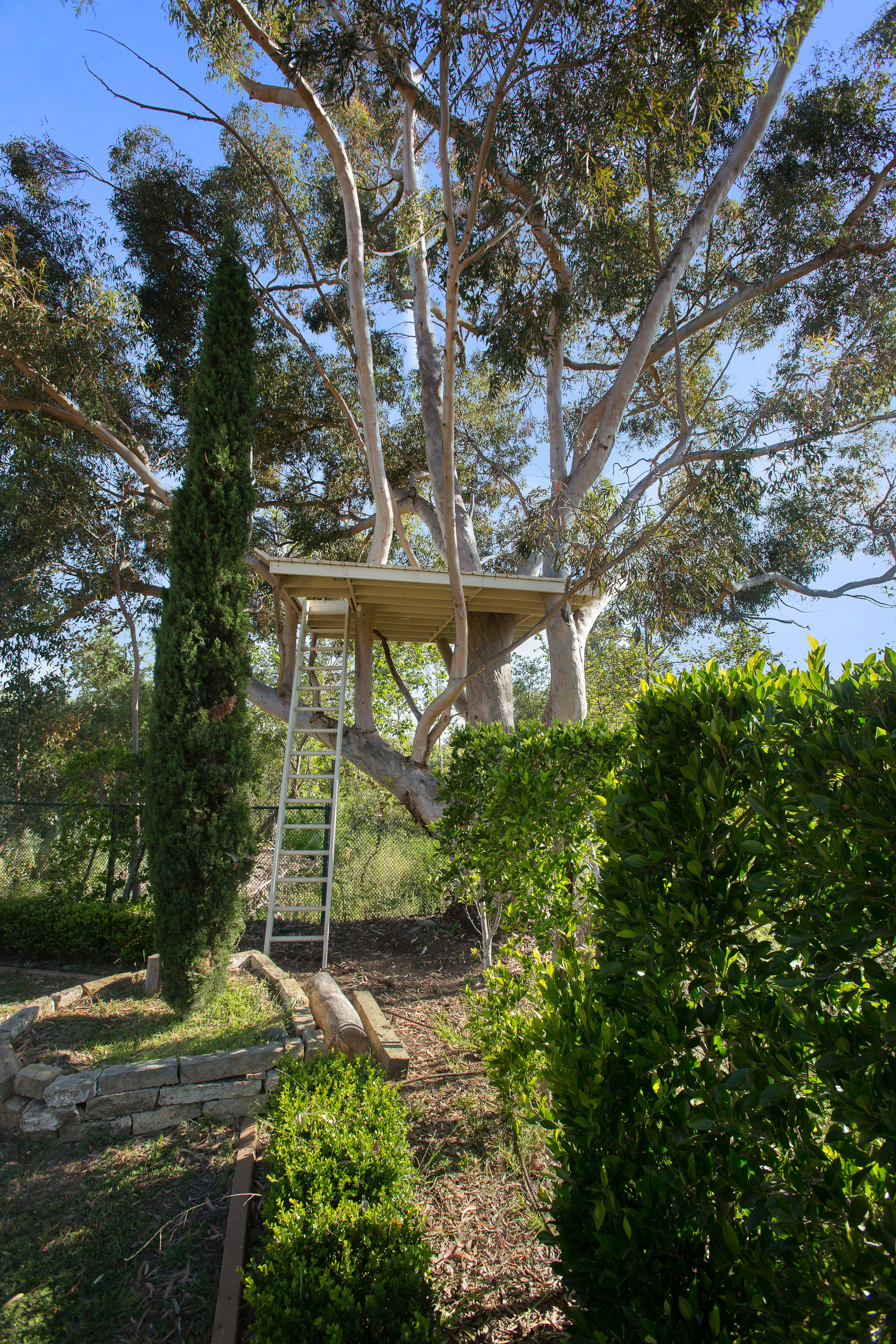 Villa Tuscan | Photo 66