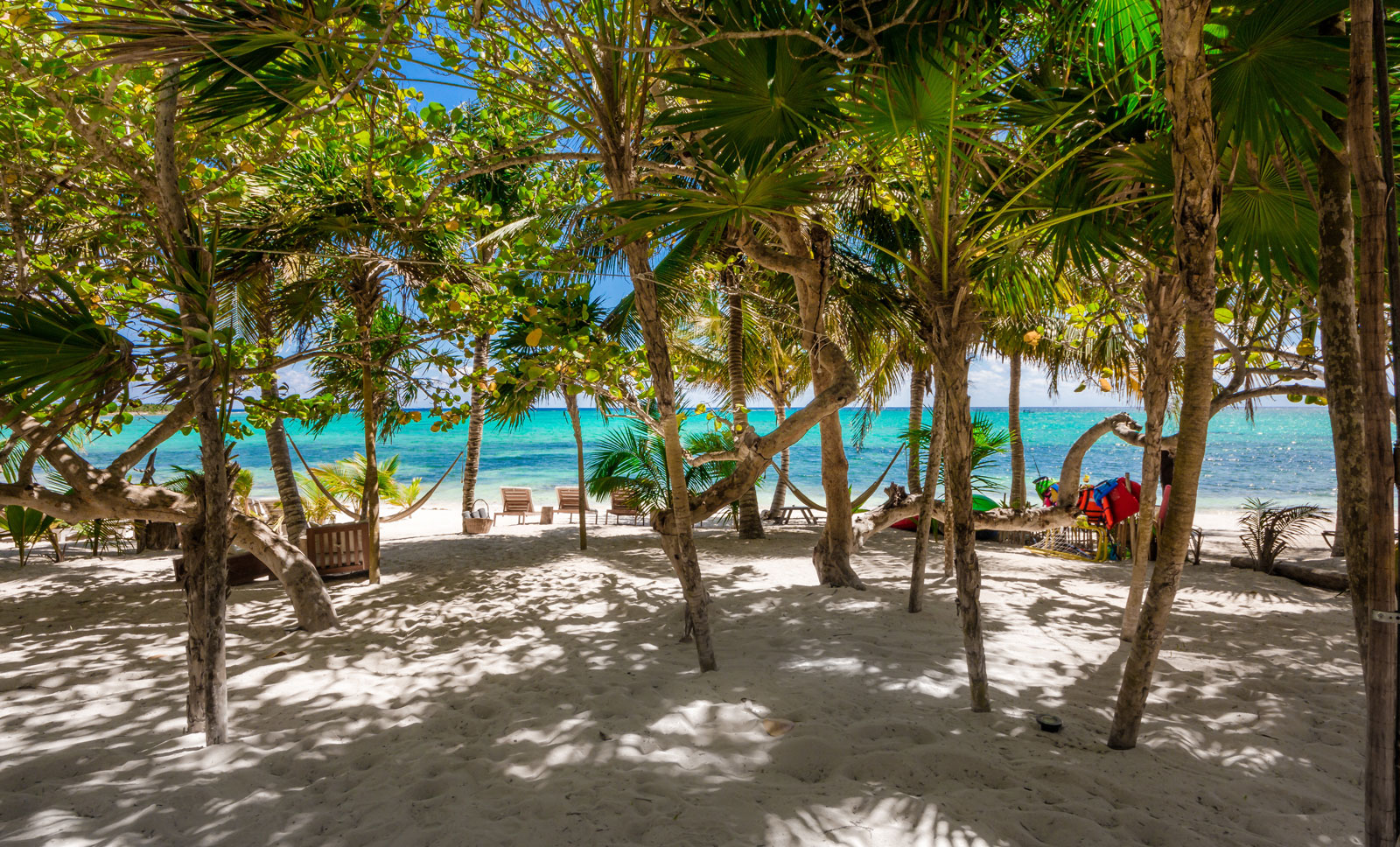 Villa La Semilla | Photo 47