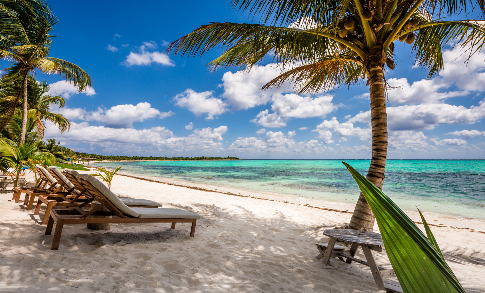 Villa La Semilla | Photo 46