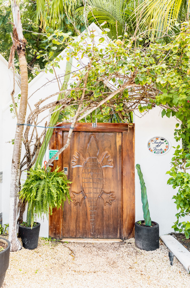 Sombras del Viento | Photo 45