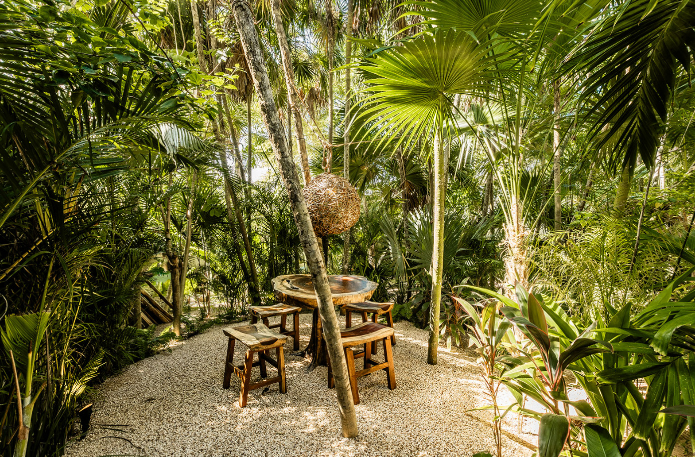 Sombras del Viento | Photo 64