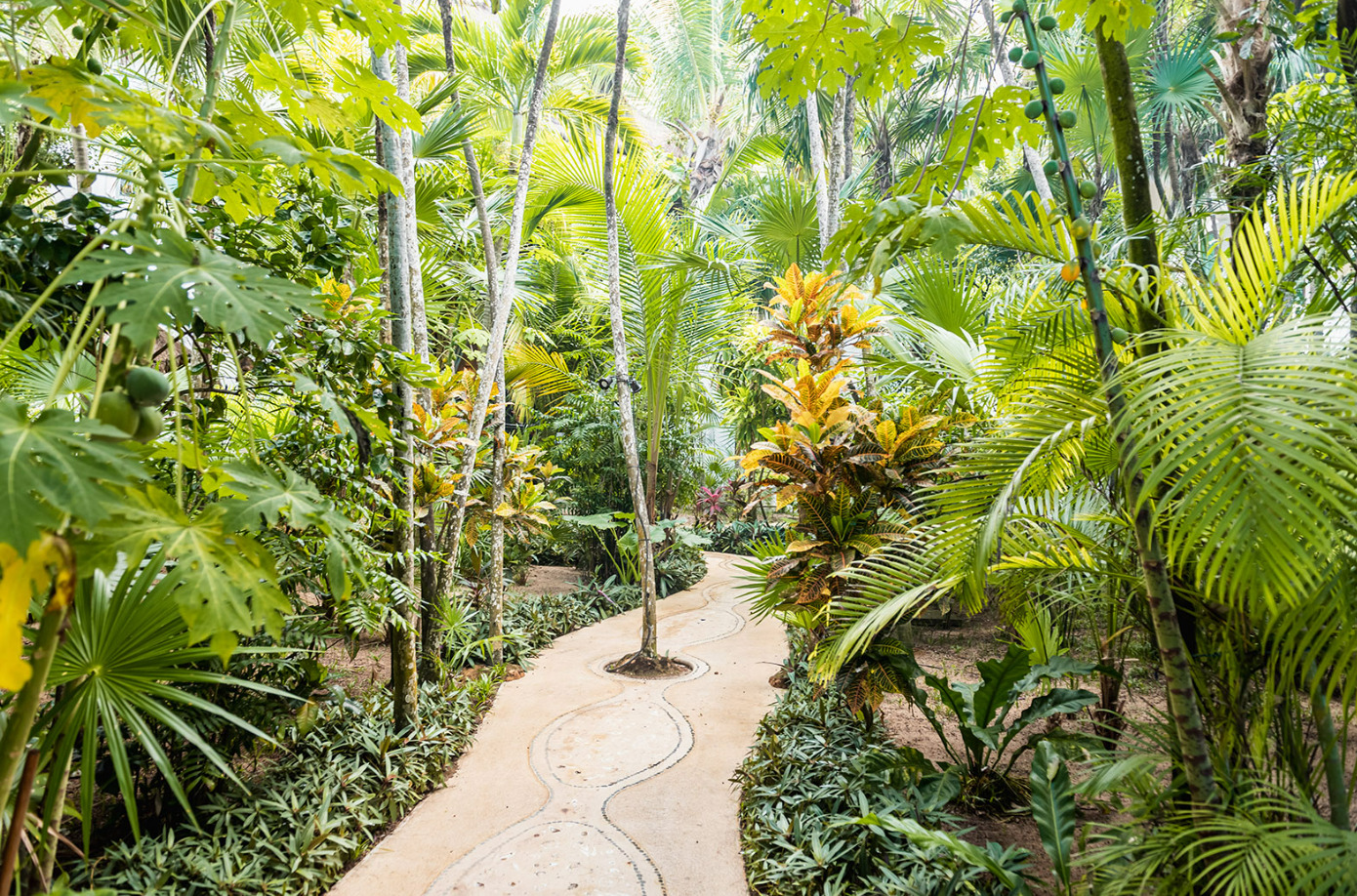 Sombras del Viento | Photo 65