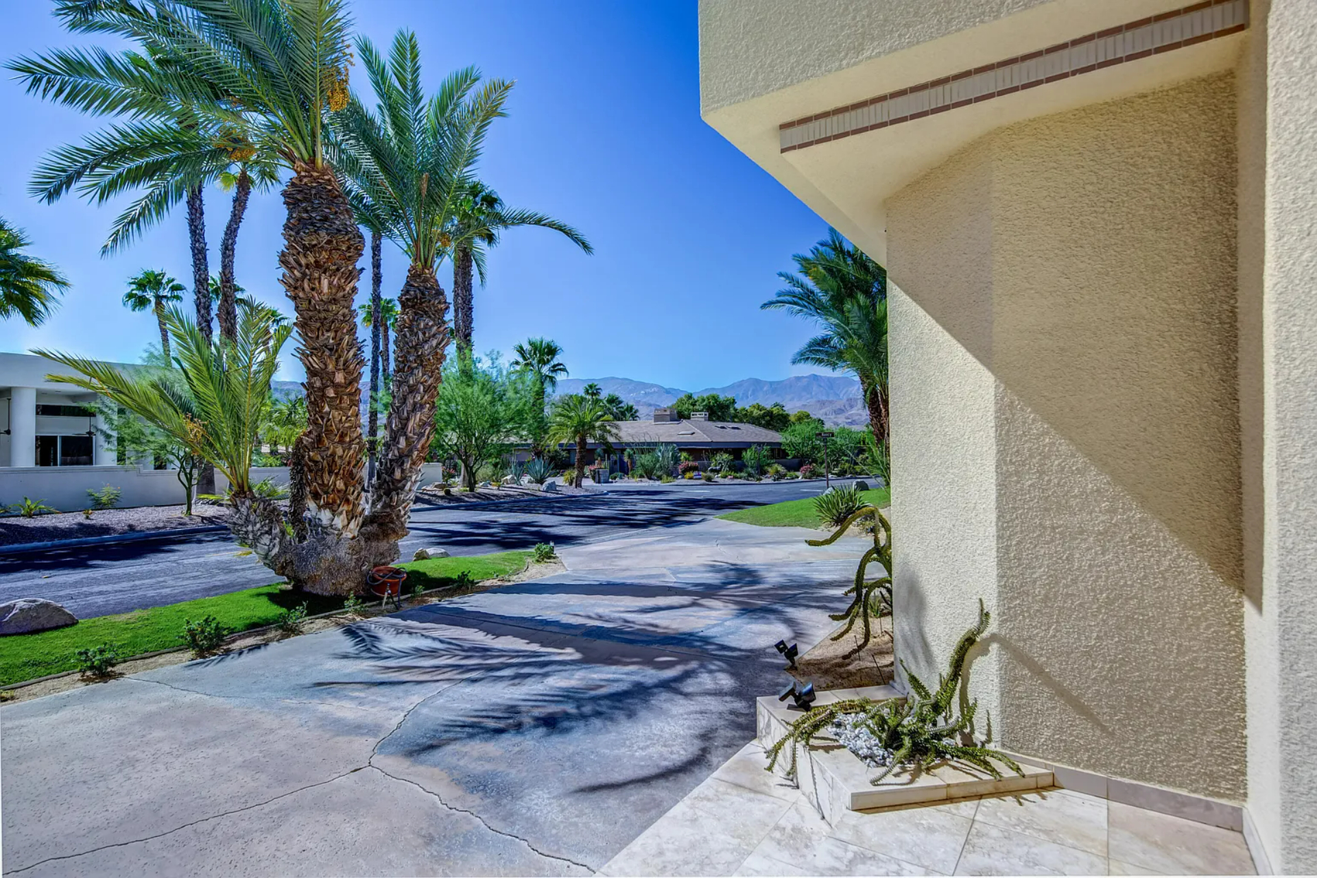 Sunny Lane | Photo 45