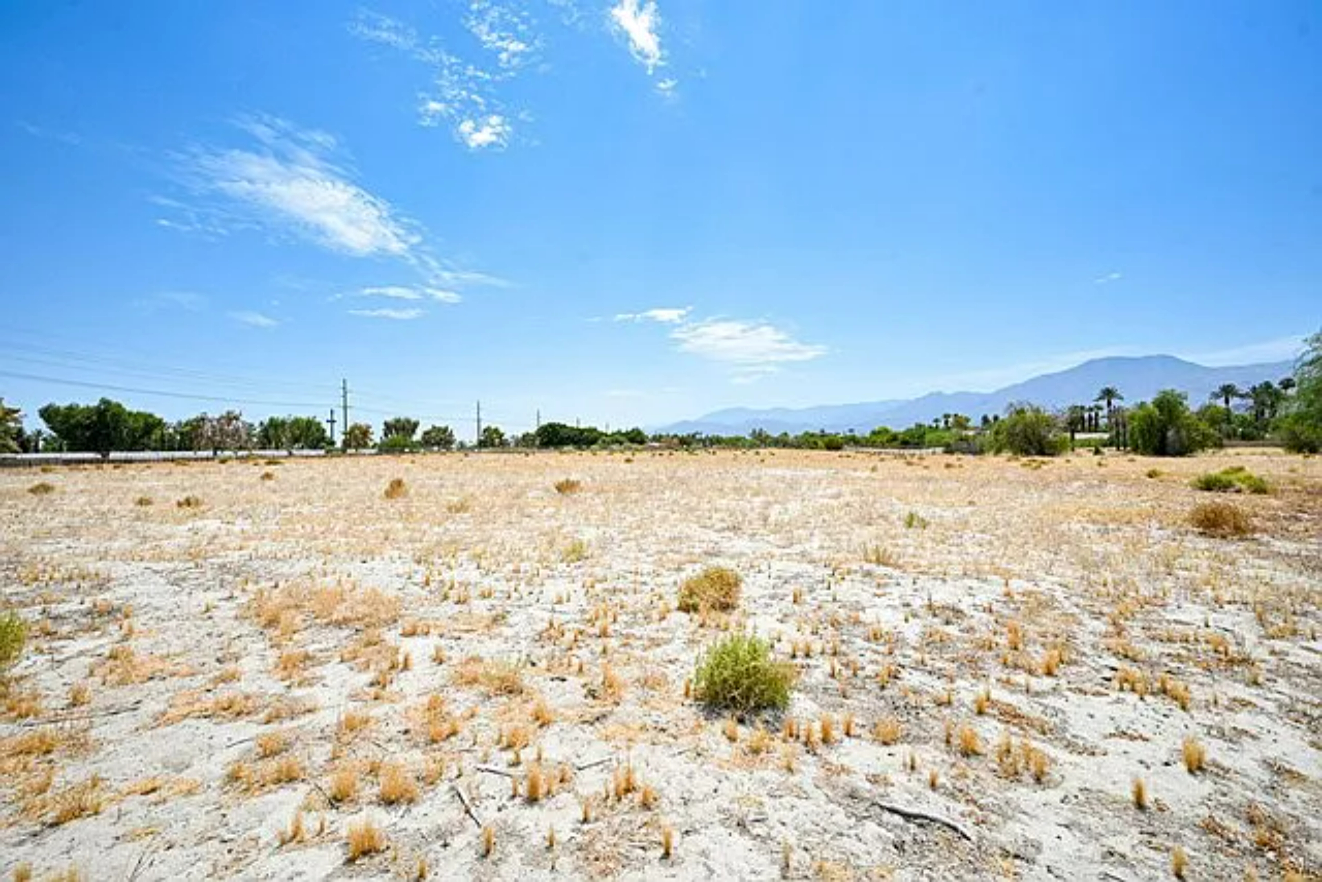 Vista Galope | Photo 3