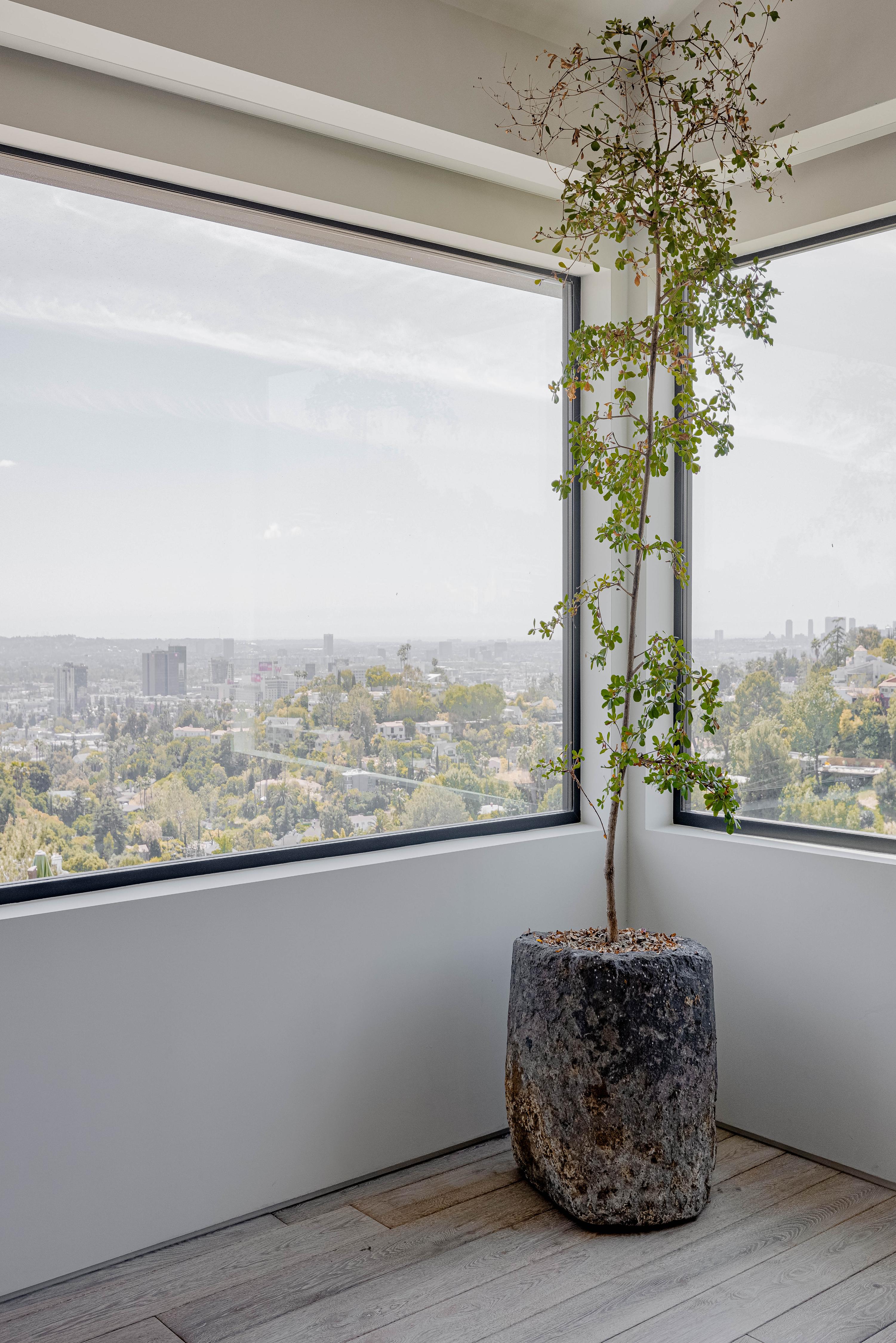 Canyon Oak | Photo 15