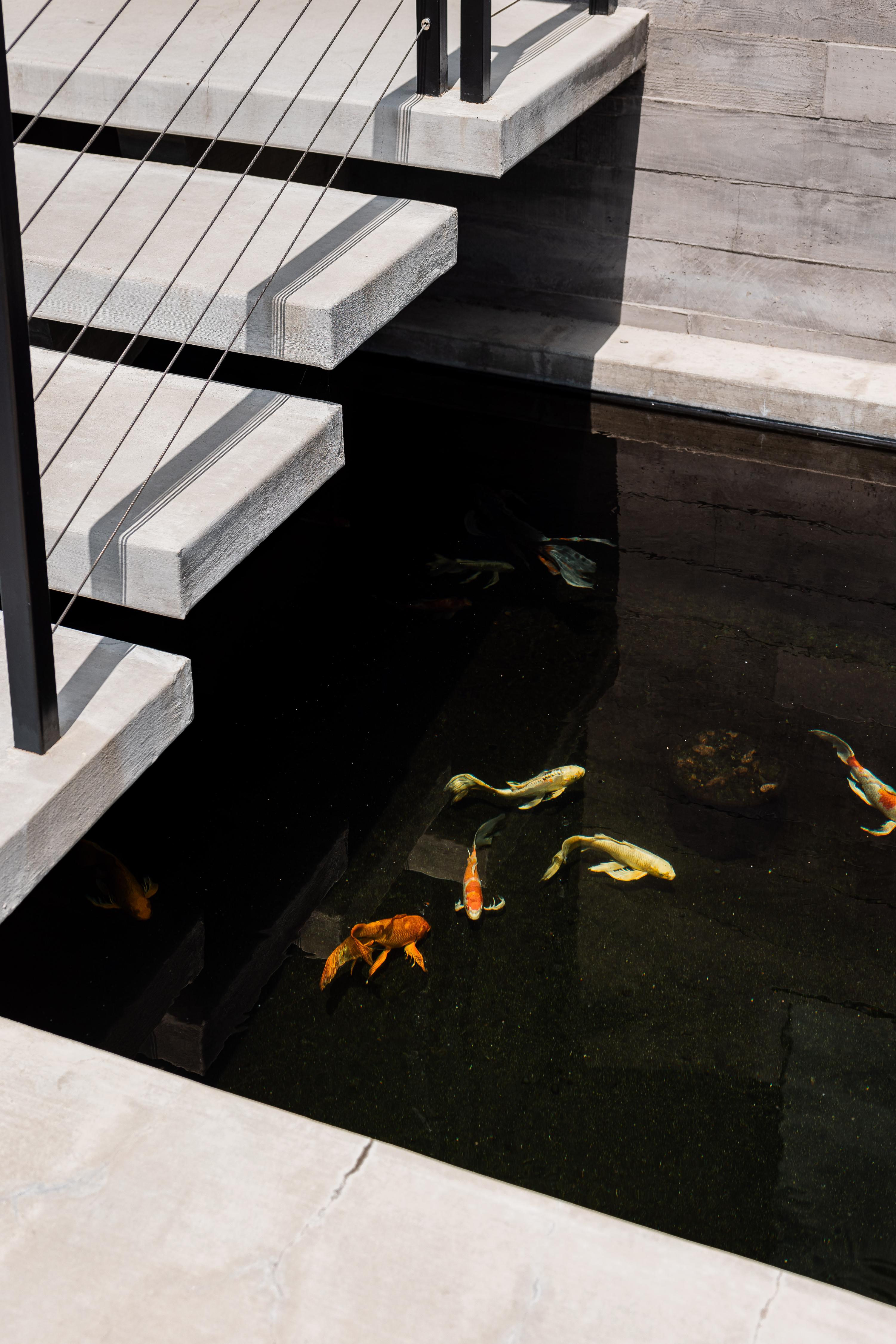 Canyon Oak | Photo 44