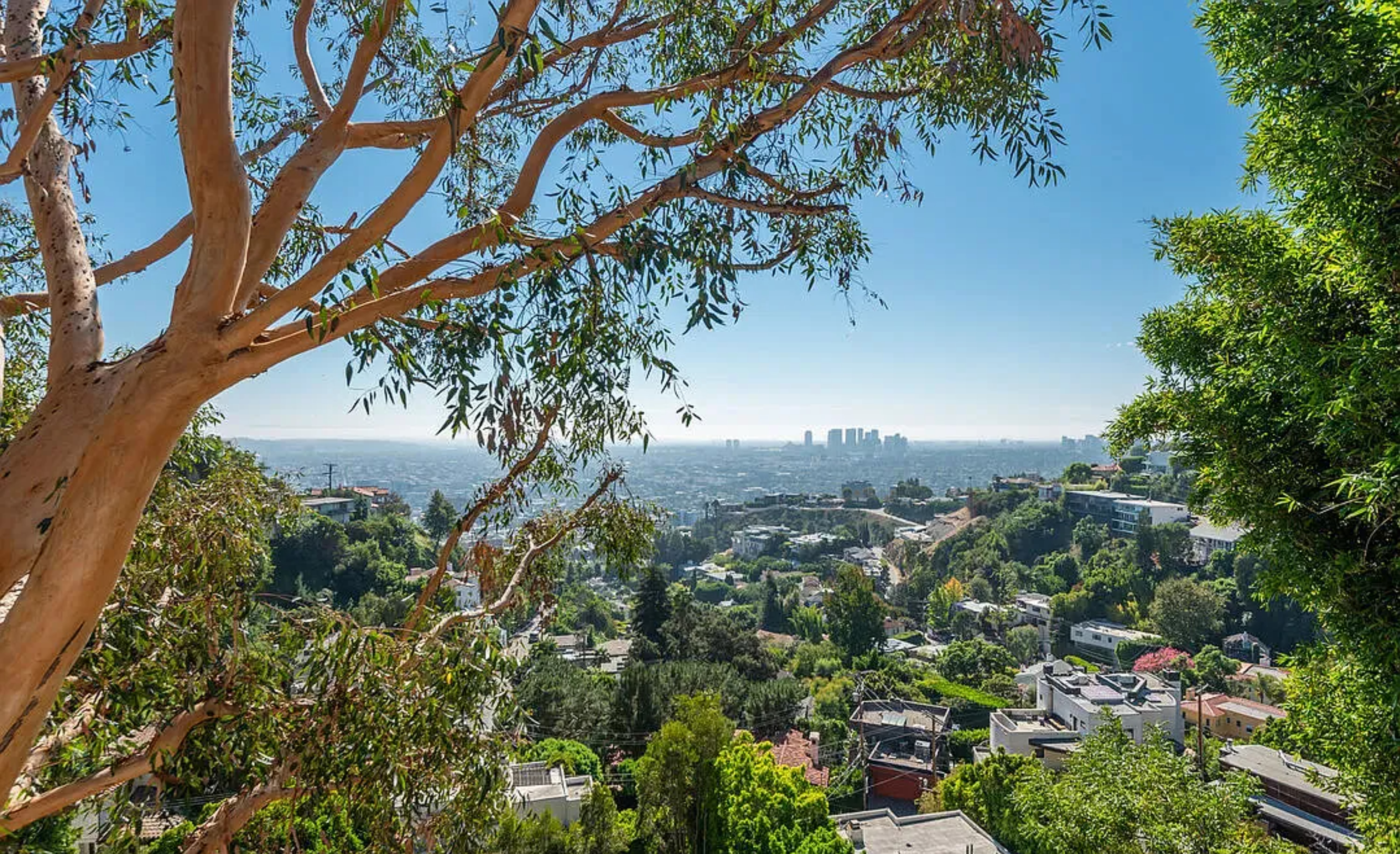Hollywood Hillside View | Photo 35