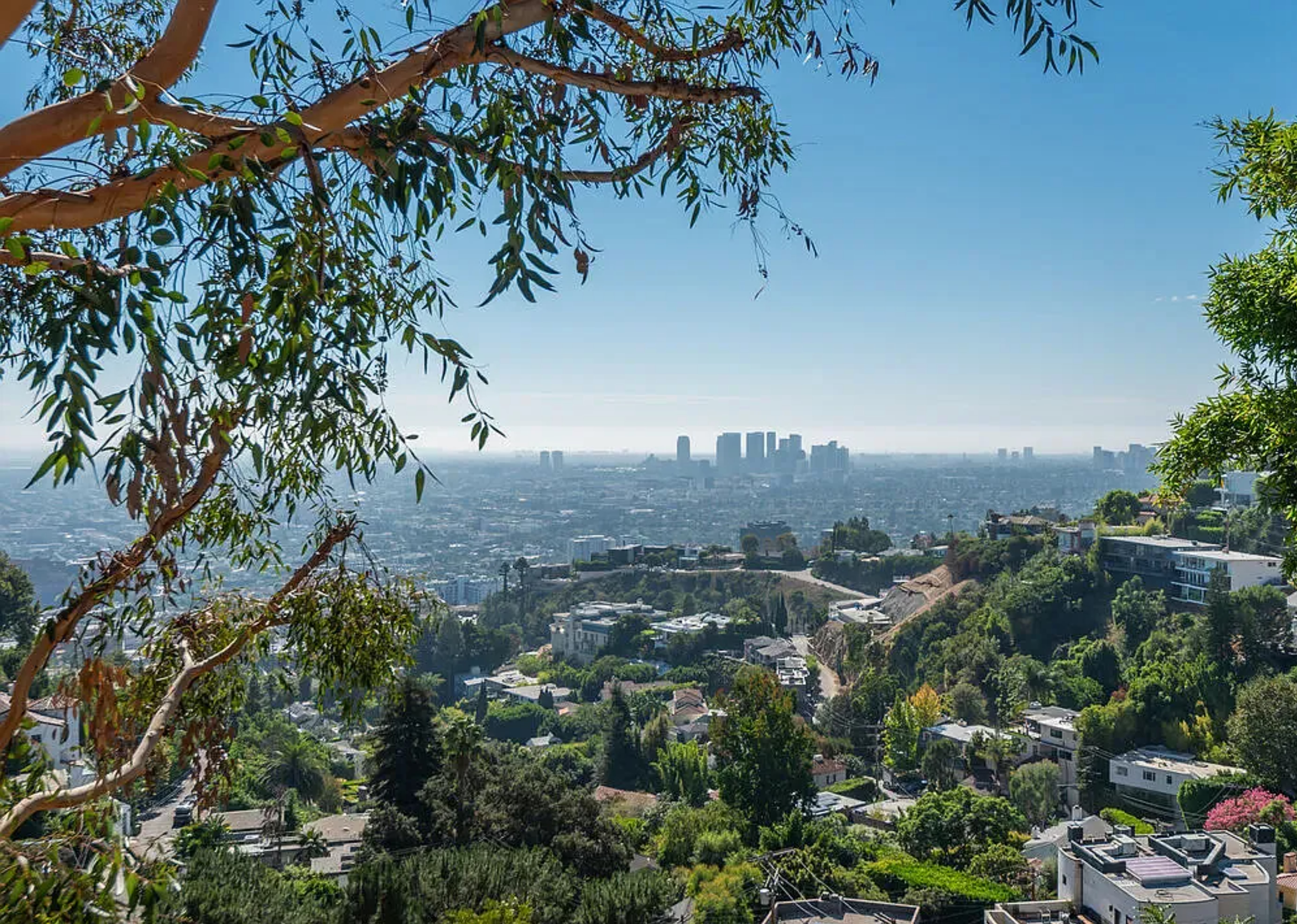 Hollywood Hillside View | Photo 31