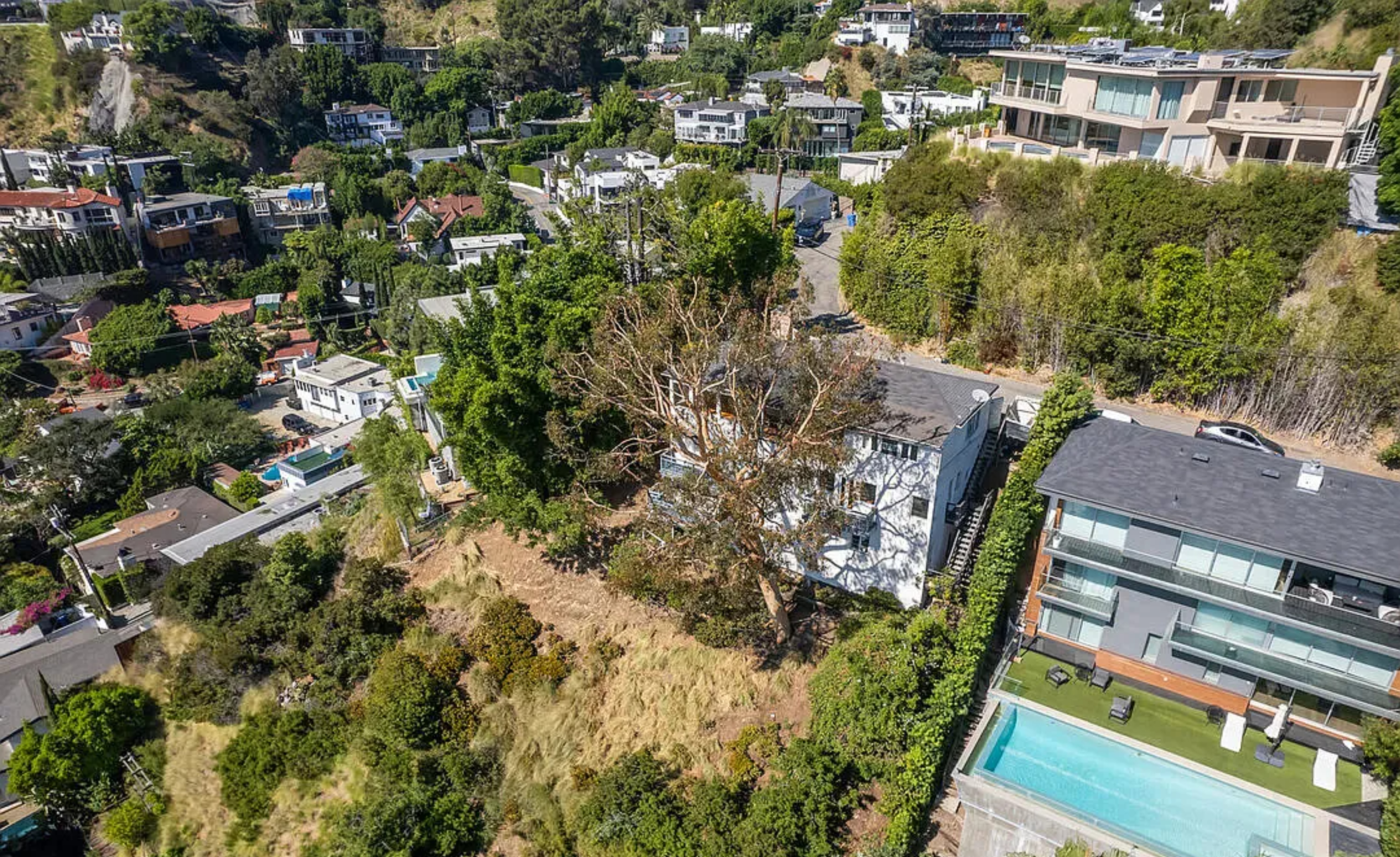 Hollywood Hillside View | Photo 15