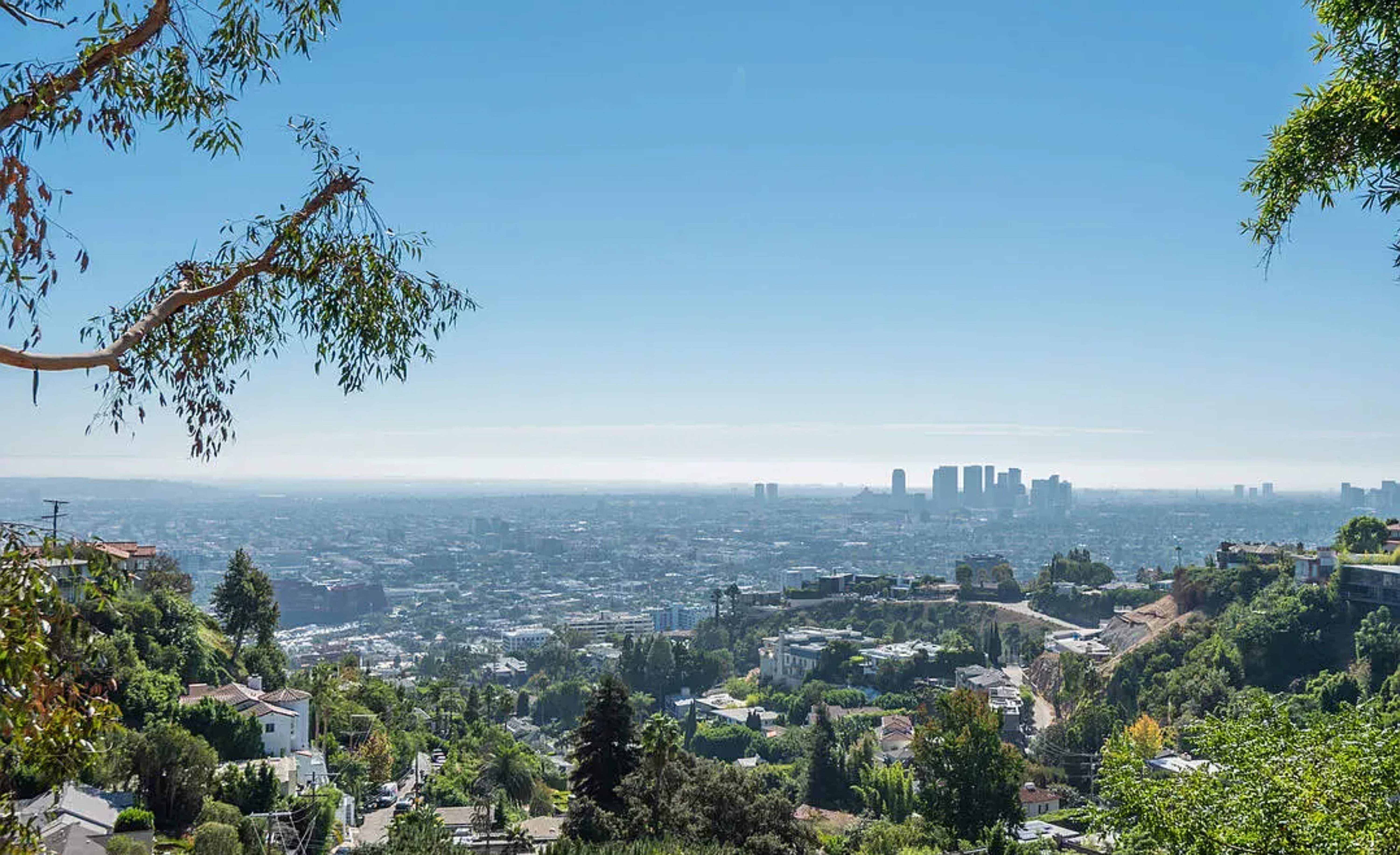 Hollywood Hillside View | Photo 22