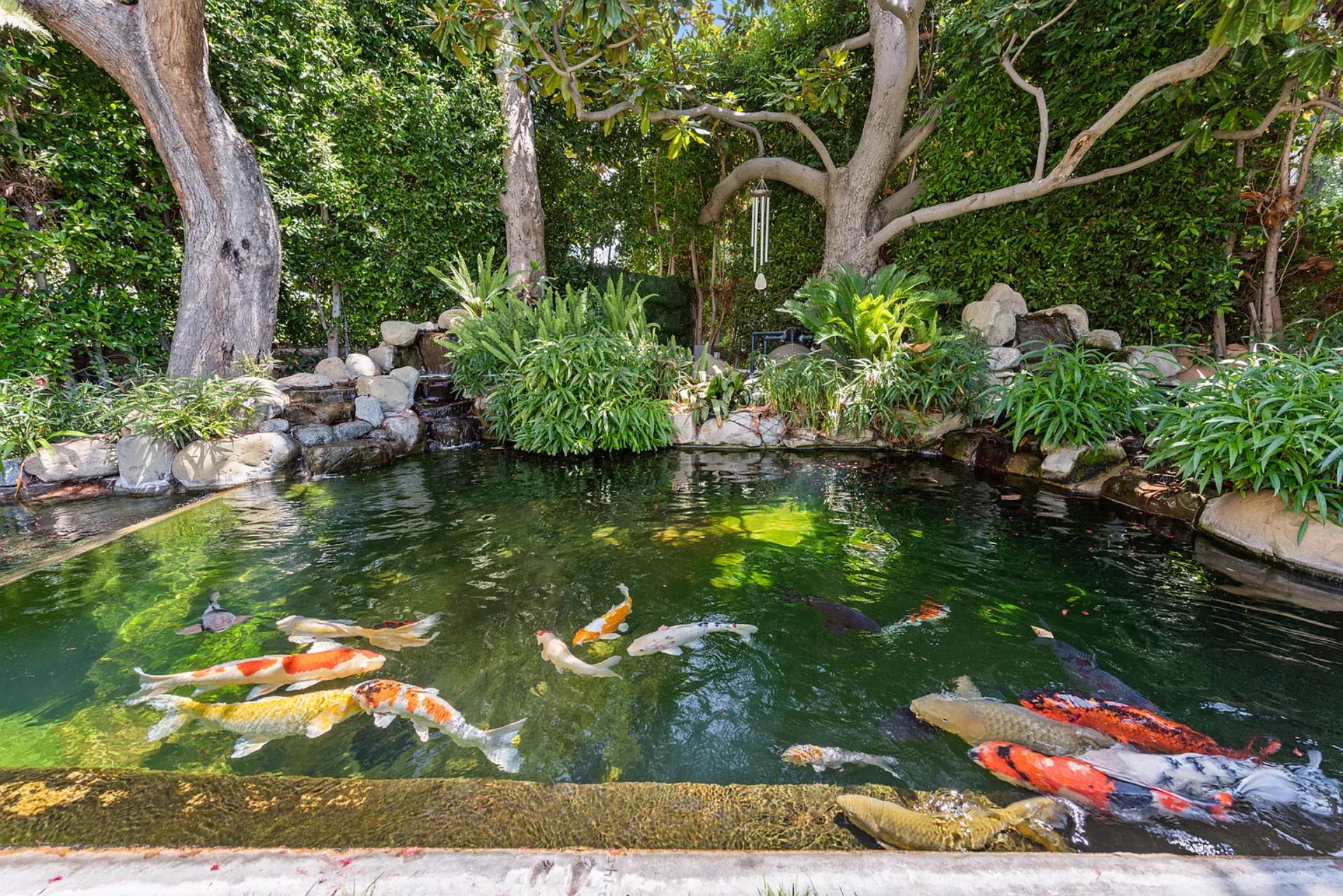 Alta Royale | Photo 66