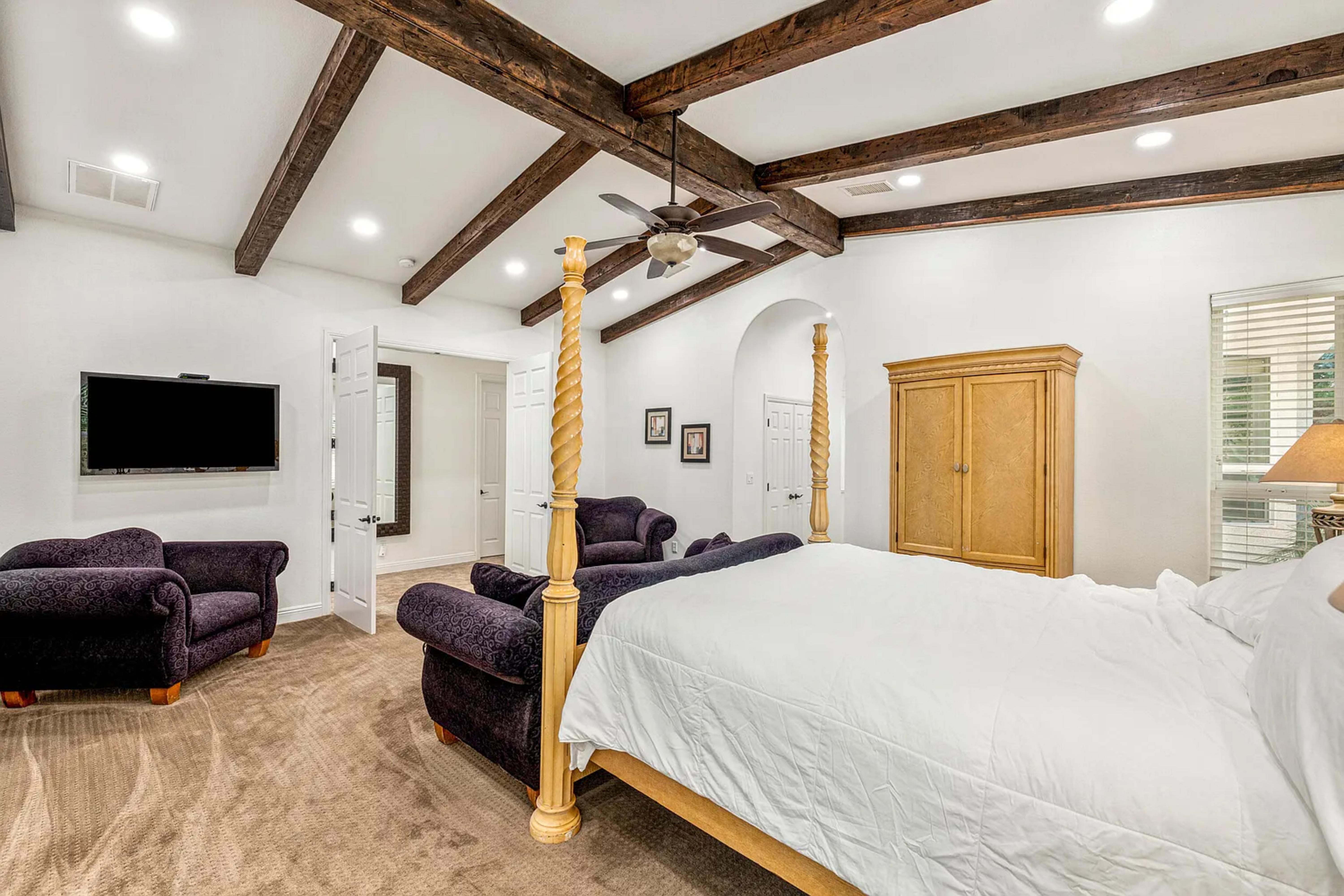 Velvet Palm | Photo 18