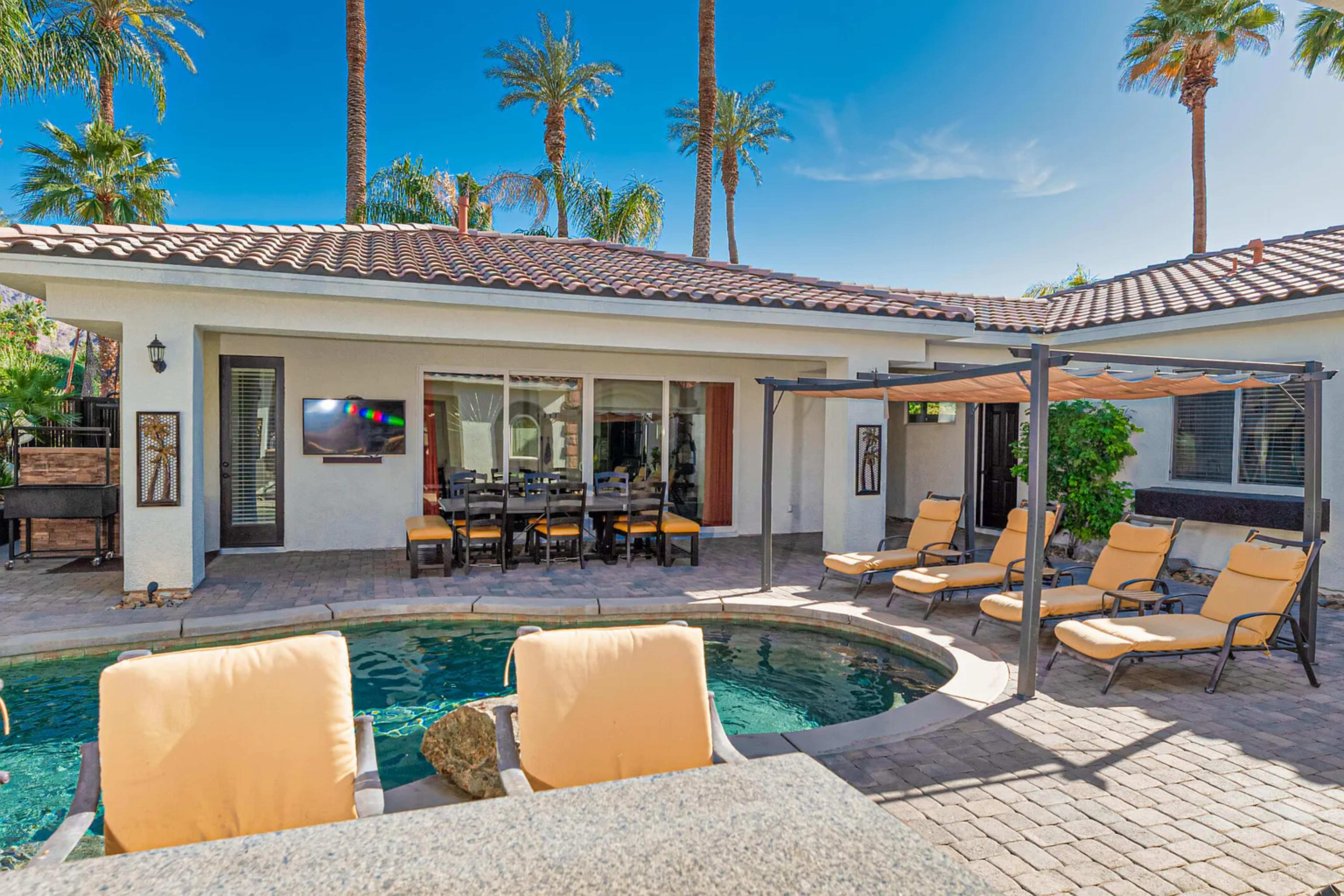 Velvet Palm | Photo 4