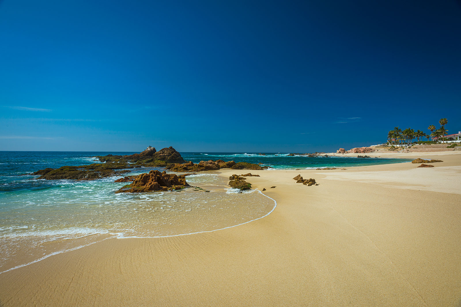 Villa Tortuga Punta Bella | Photo 9