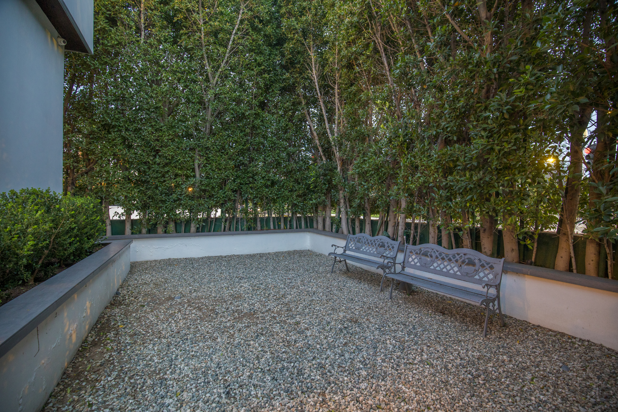 Colgate Vantage | Photo 63