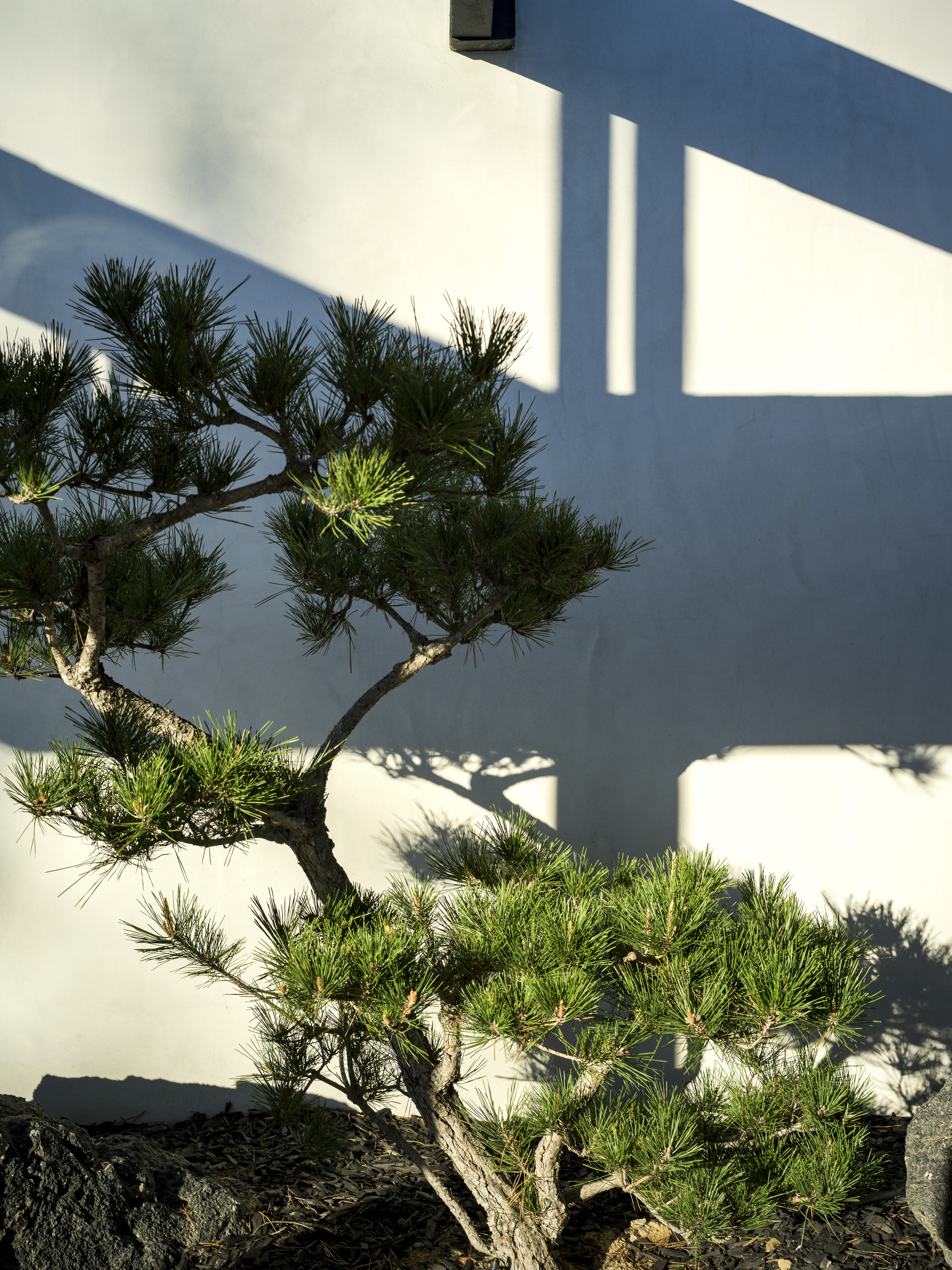 Moonridge Drive | Photo 38