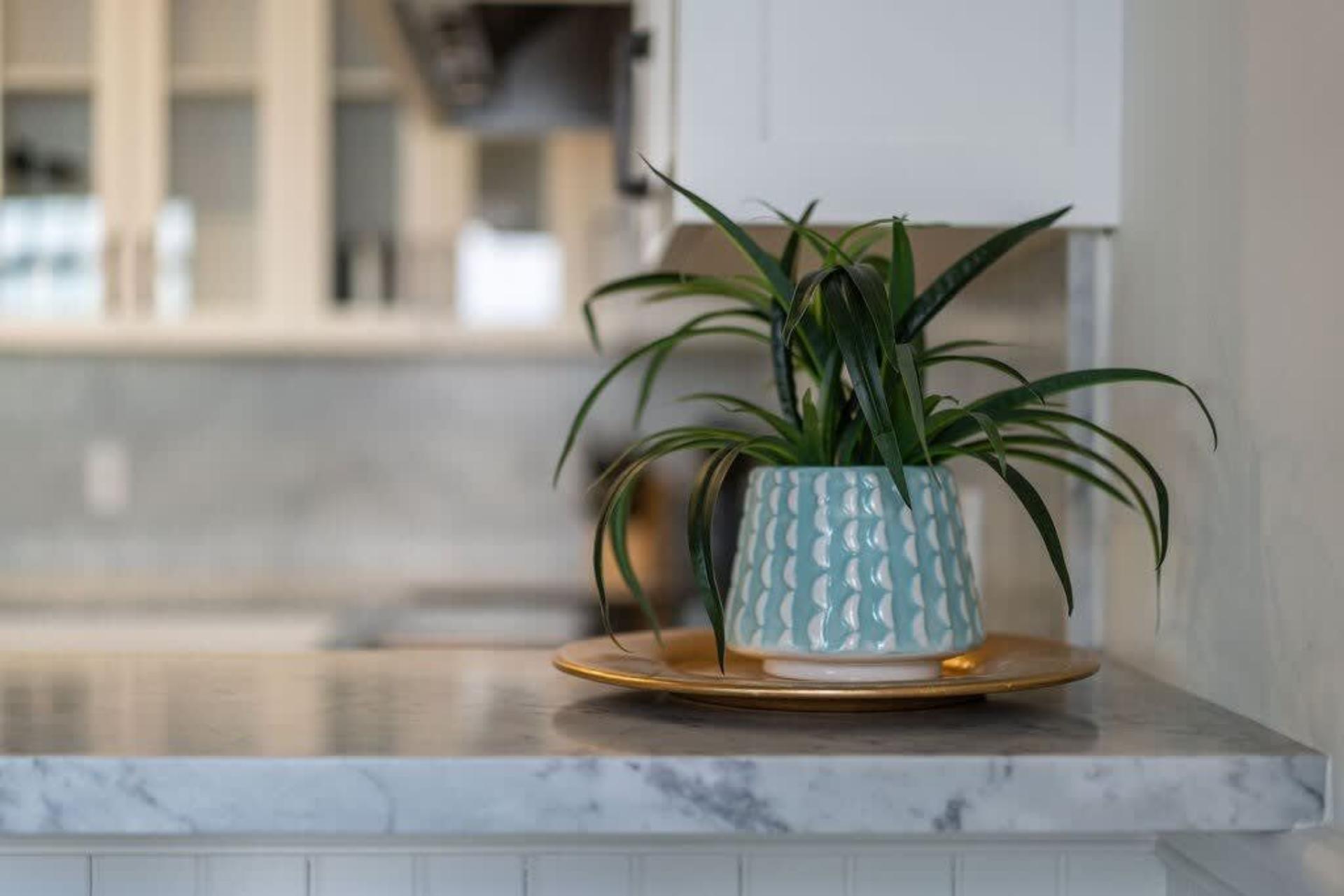 East Cliff Beachfront Bliss | Photo 21