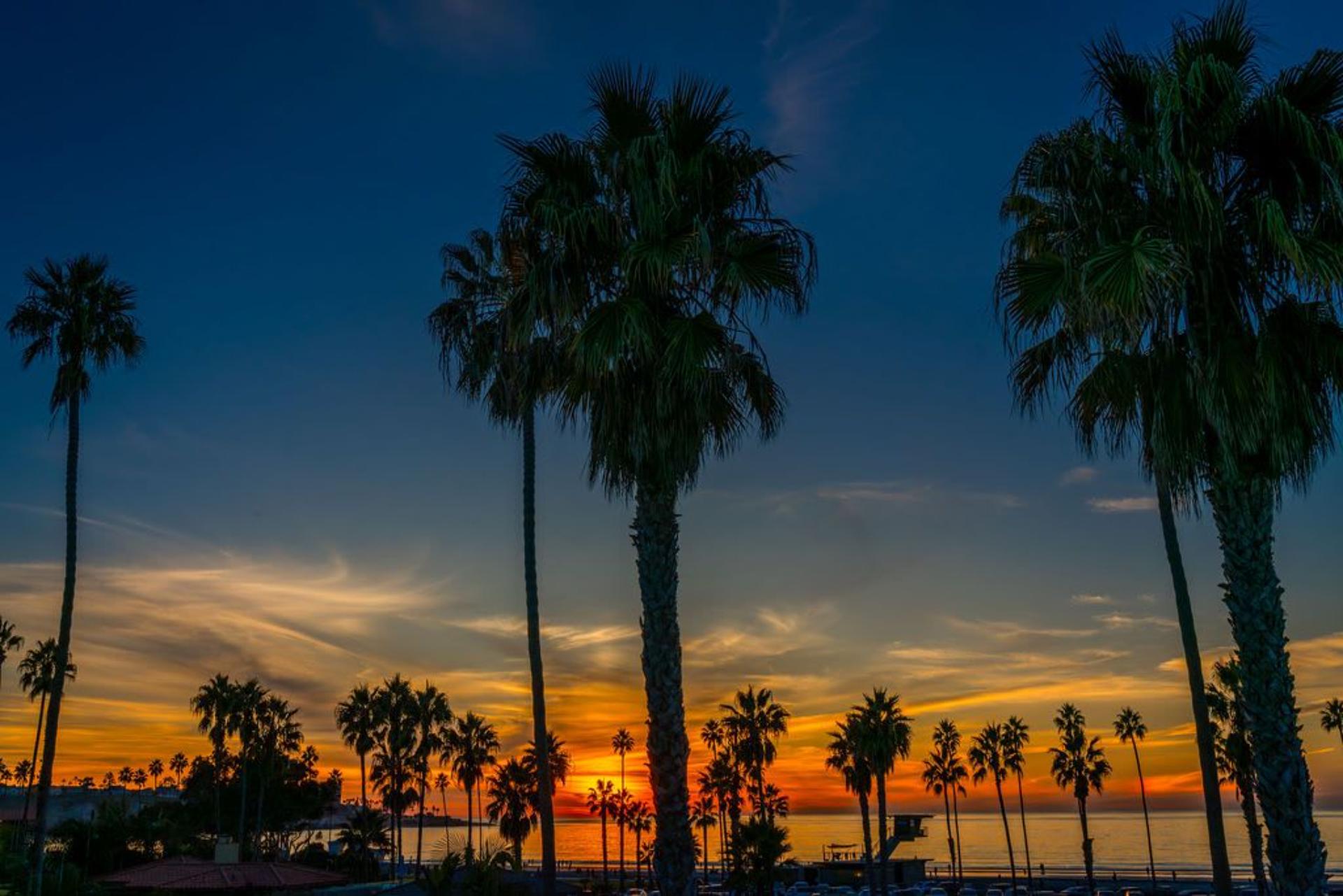 Spanish Coastal Villa | Photo 71