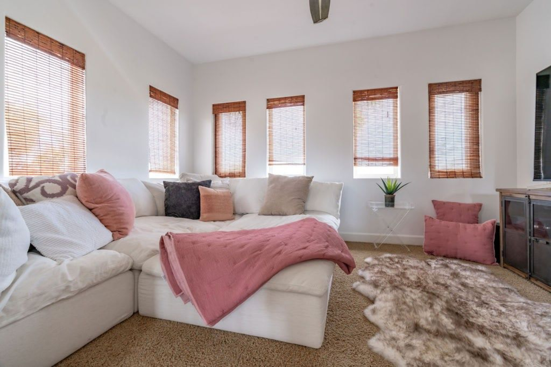 Coastal Carlsbad Dream House-Outdoor-Walk to Beach! | Photo 36