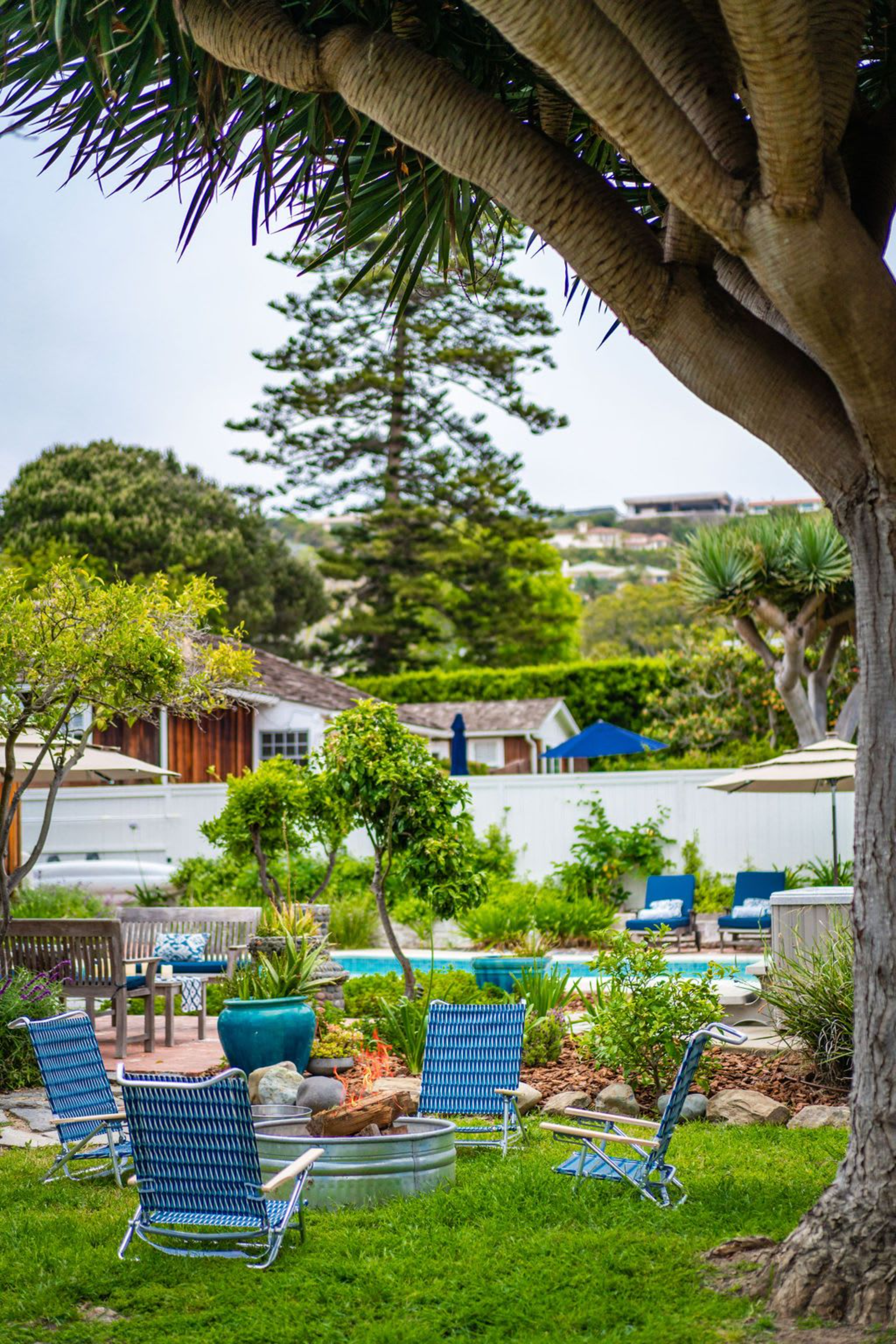 Charming La Jolla Shores Cottage | Photo 48