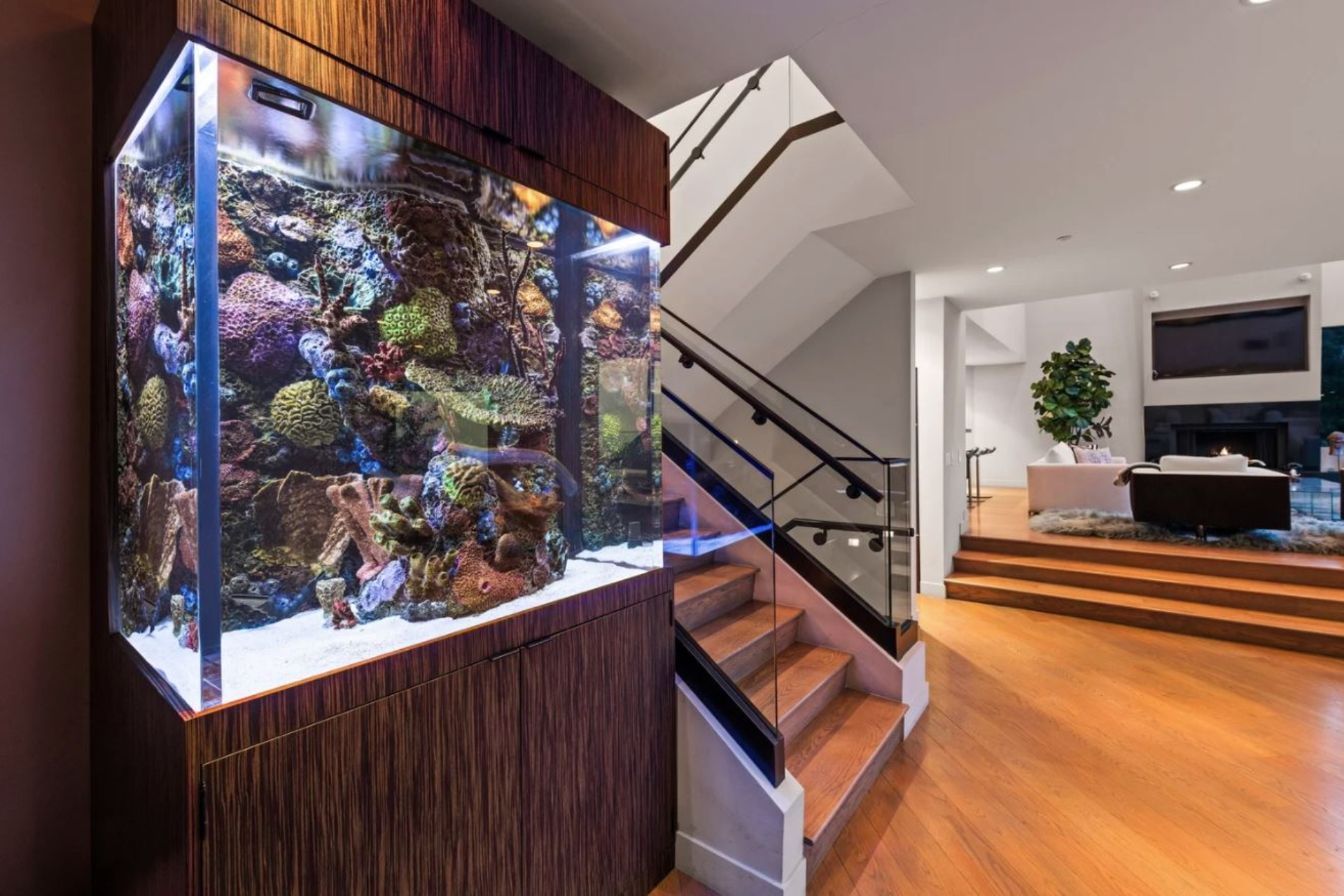 Las Alturas Estate | Photo 6