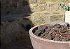 Rancho la Puerta - Square 2 - Casita 4