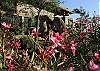 Rancho la Puerta - Square 11 - Unit 08
