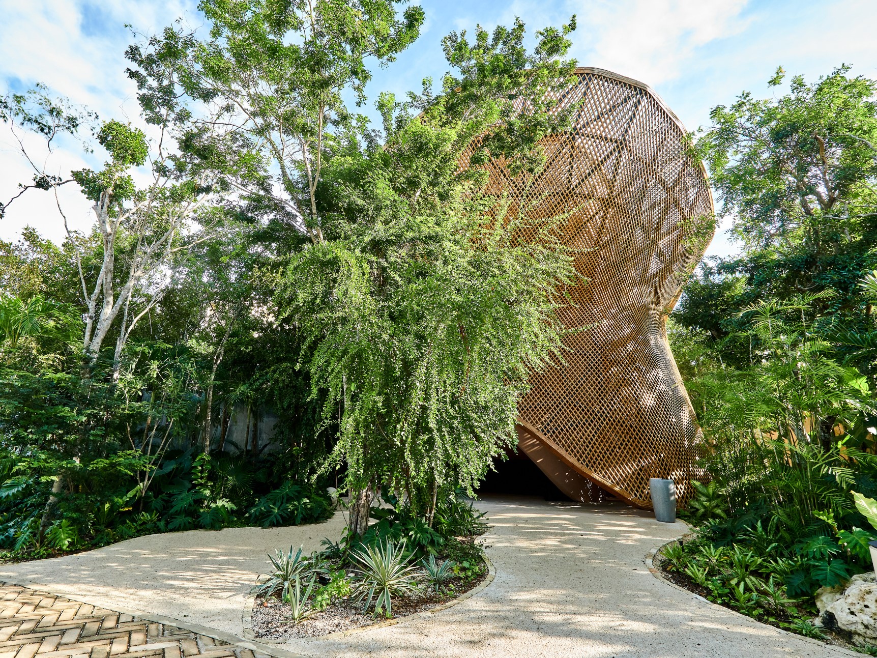 Aflora - Loft 224 | Photo 14