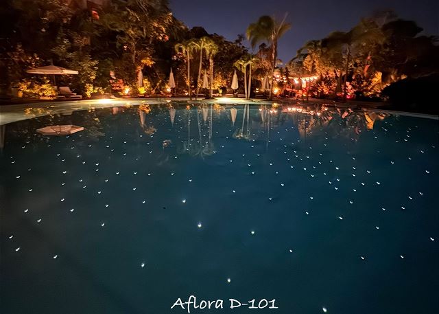 Aflora - Apartment D101