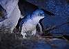 Stay in luxury apartment
family friendly luxury accommodation Penneshaw Kangaroo Island holiday rental
