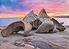 Stay in luxury apartment
family friendly luxury accommodation Penneshaw Kangaroo Island holiday rental