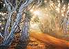 Stay in luxury apartment
family friendly luxury accommodation Penneshaw Kangaroo Island holiday rental