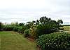 Patio View