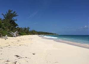 On The Dune