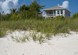 Lavender Beach House