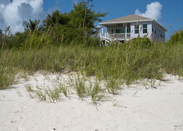 Lavender Beach House