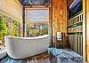 Alpine Haven Cabin and Spa
