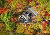 Treehouse Swim Cabin