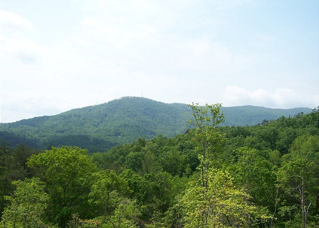 "Livintha Dream Lodge" few minutes from everything but sitting in a relaxing quiet spot.