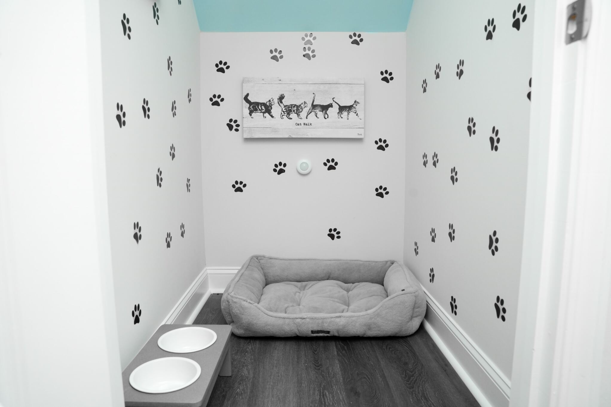 Pet Room