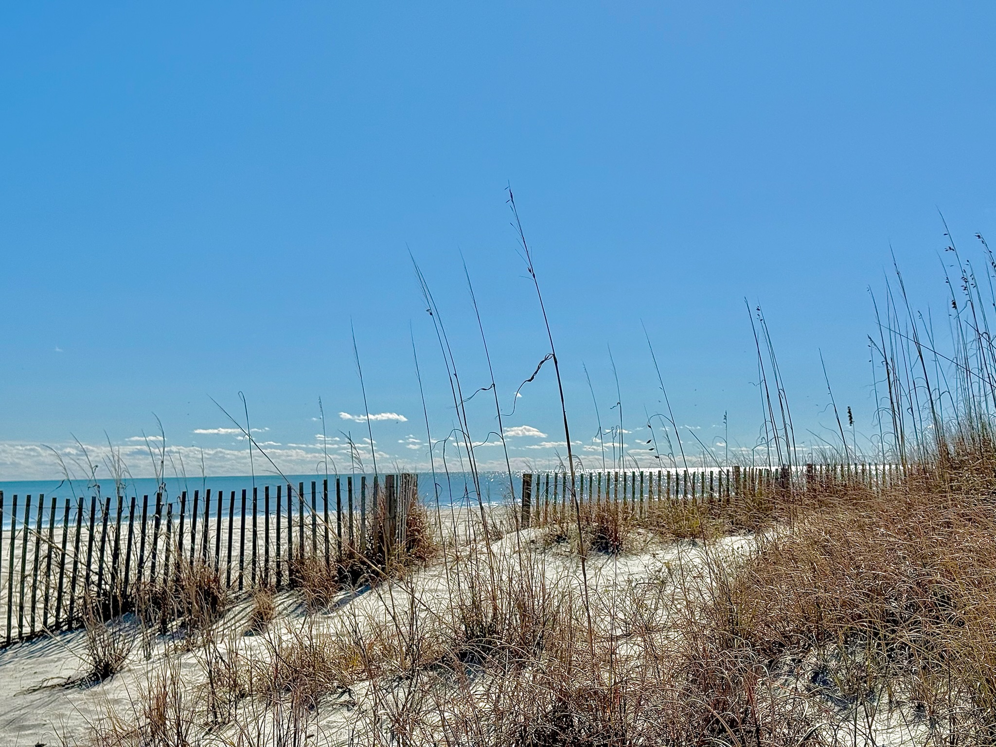 Peak-a-Boo Beach View 1 Bed/1 Bath Condo | Photo 60