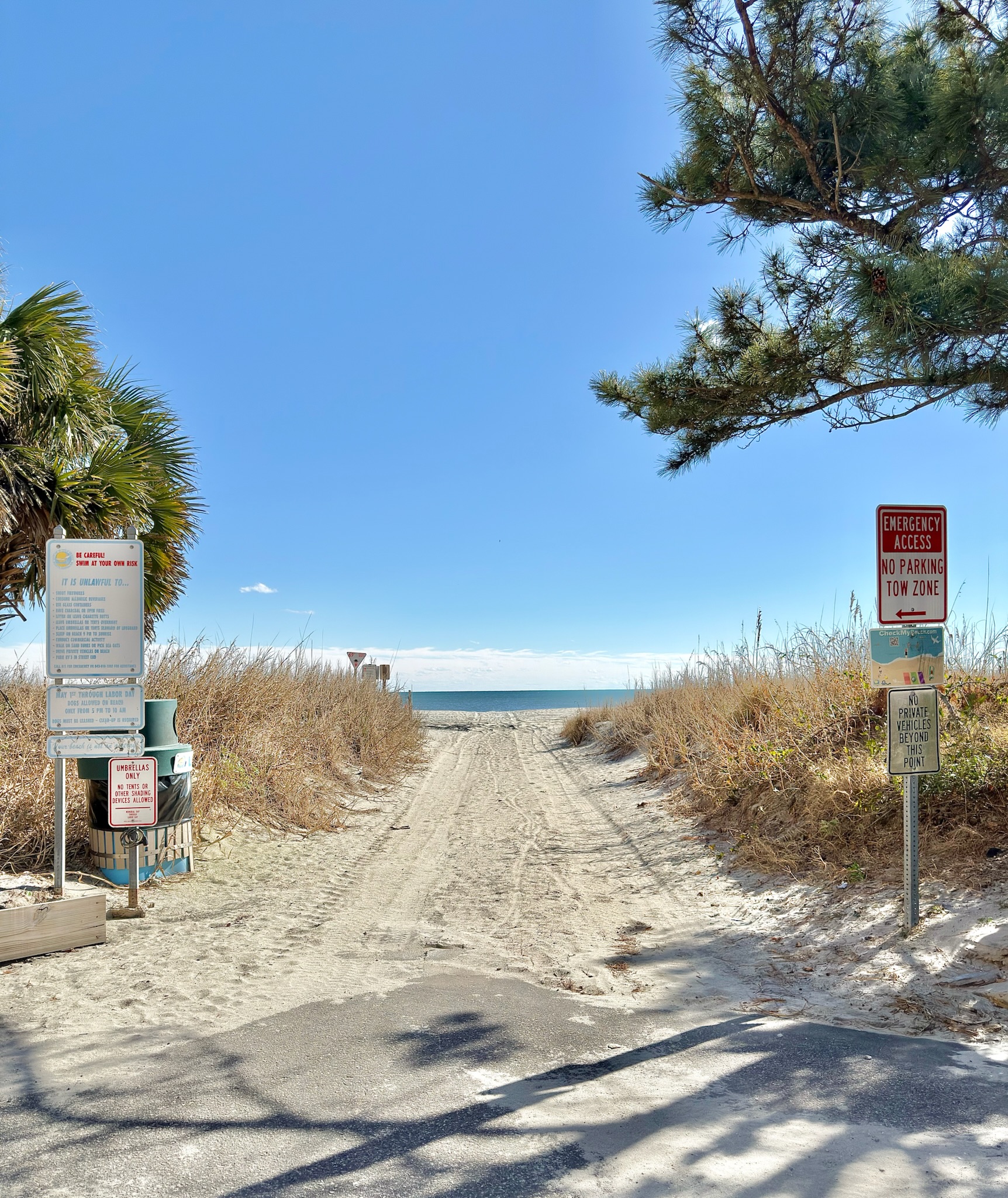 Peak-a-Boo Beach View 1 Bed/1 Bath Condo | Photo 51