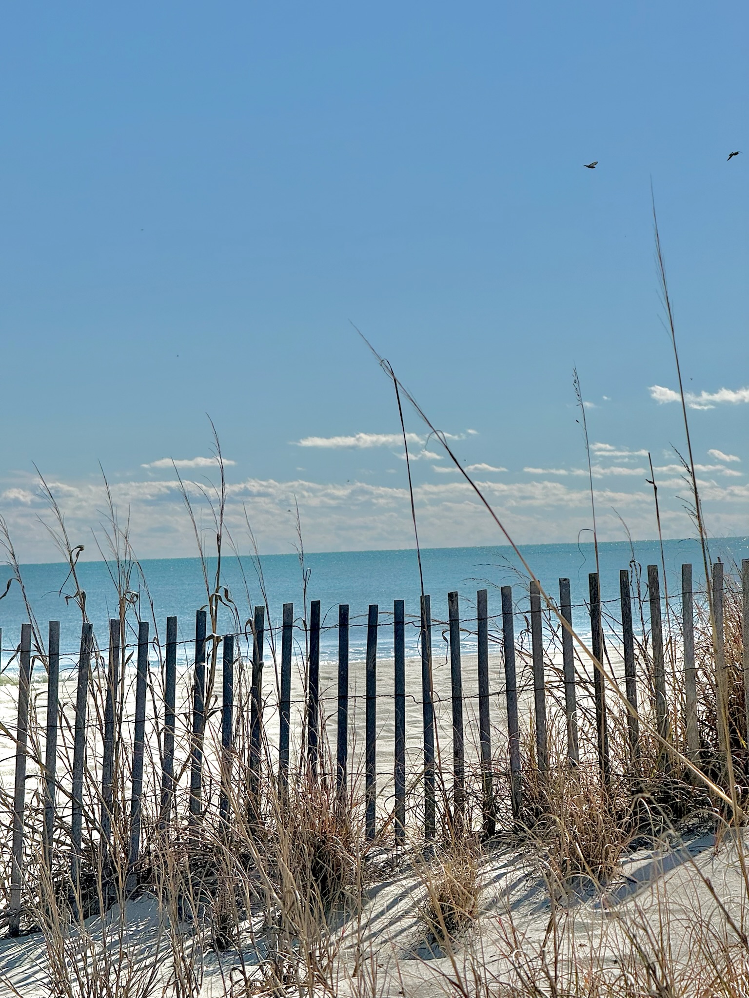 Peak-a-Boo Beach View 1 Bed/1 Bath Condo | Photo 56