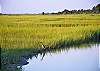 Just one of the many beautiful sights at the Wildlife Refuge