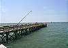 Free fishing off of the Cape Charles fishing pier, right by the beach